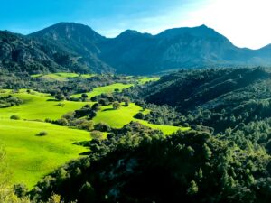 Mountains with green meadow