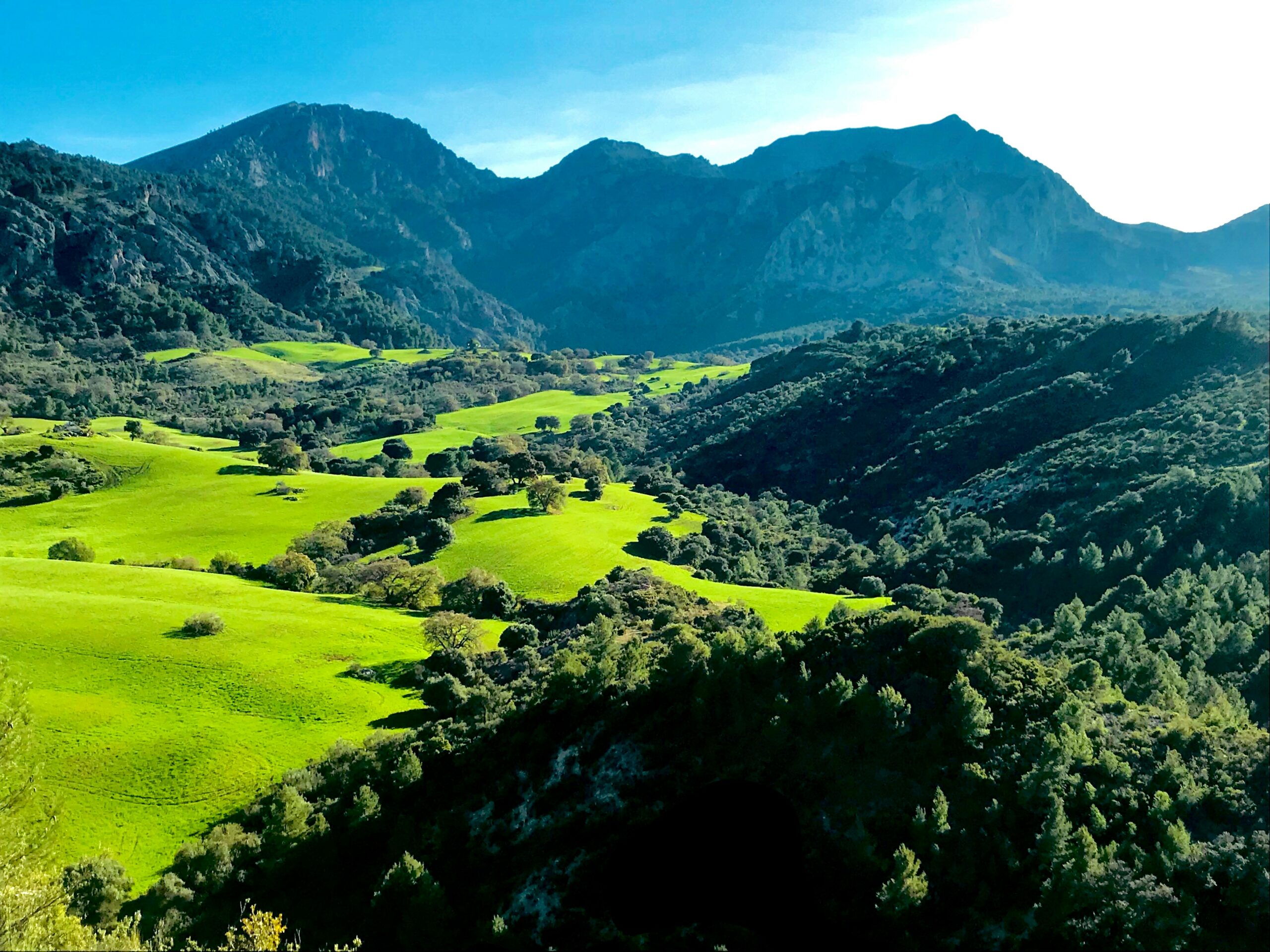 Mountains with green meadow