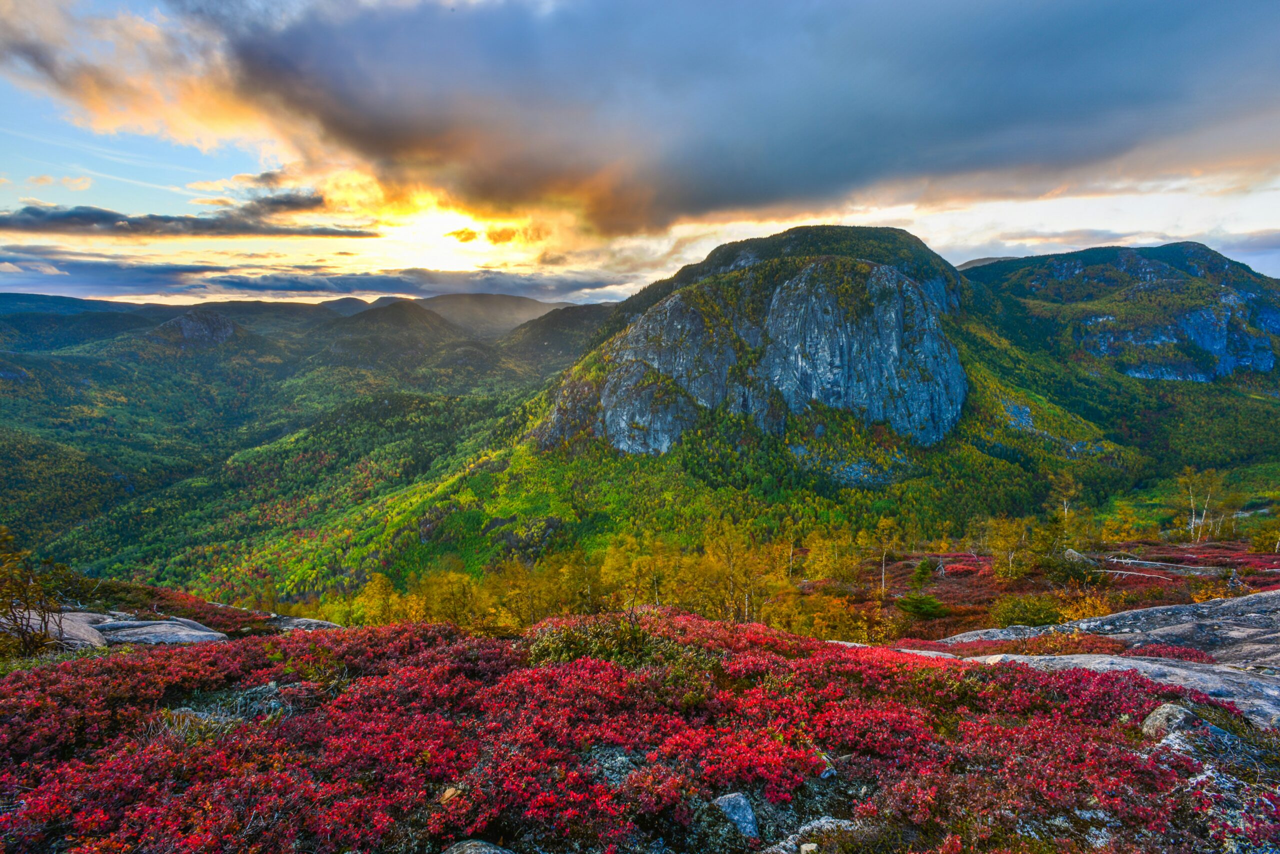 Mountains and flowers with sunset in background